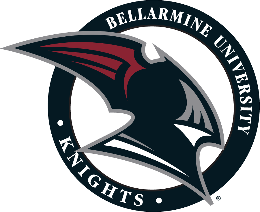 Bellarmine Knights 2004-2010 Alternate Logo v2 iron on transfers for clothing